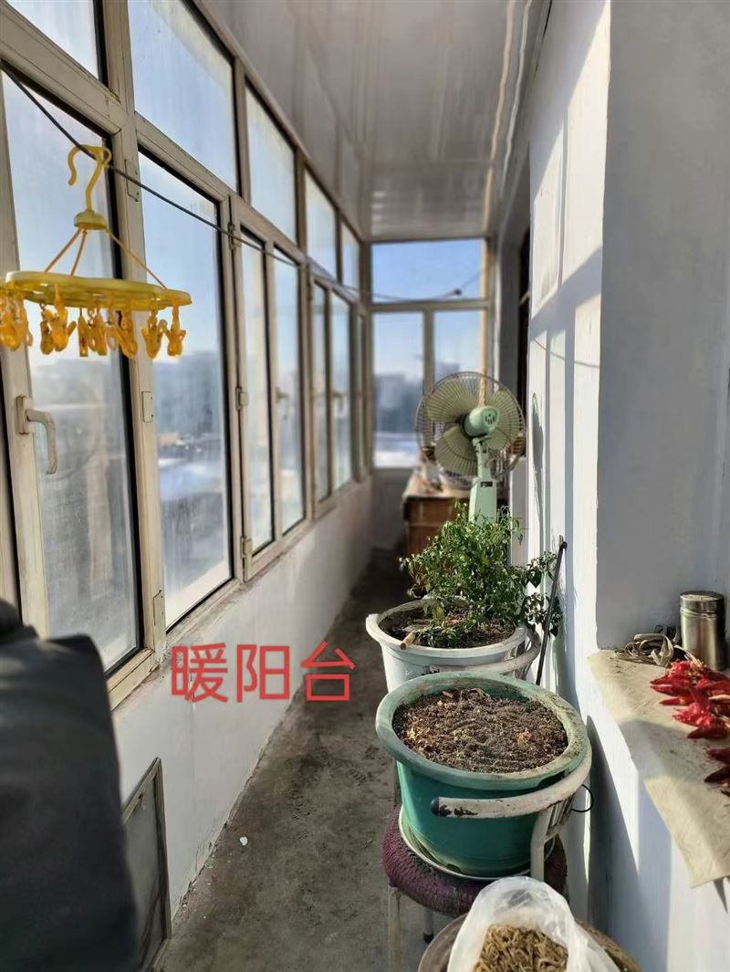 急賣(mài)九小九中學(xué)區(qū)房